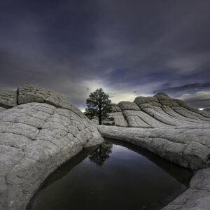 Ponderosa stands alone amongst the cerebral white rock formation within view of this small reflecting pool