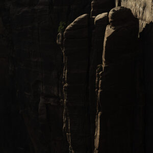 Last golden beams od light on the Zion canyon wall