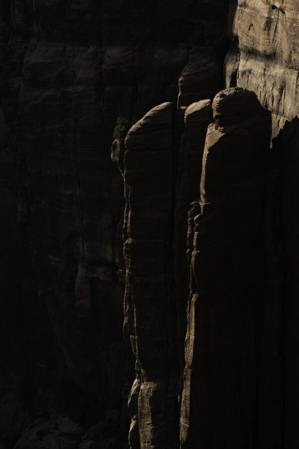 Last golden beams od light on the Zion canyon wall