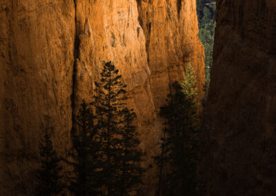 Canyon glow during sunrise at Bryce Canyon NP