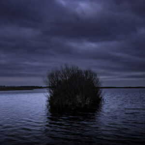 Morning blue hour in the Horicon Marsh