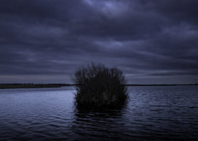 Morning blue hour in the Horicon Marsh