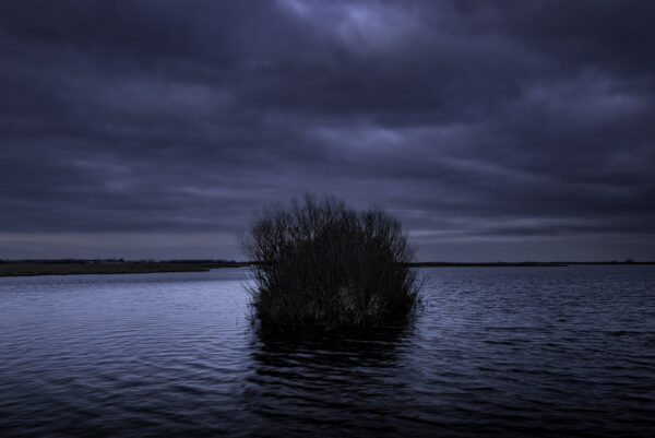 Morning blue hour in the Horicon Marsh