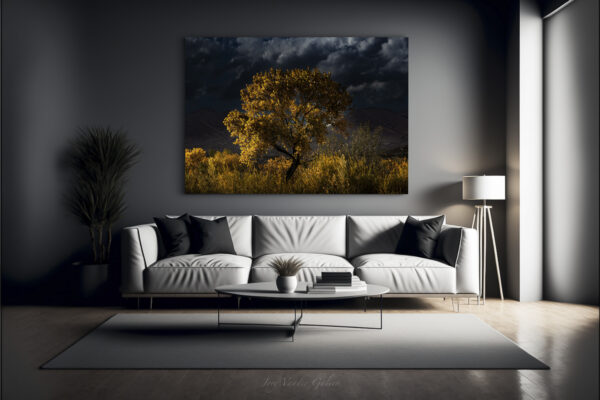 Side Lit Cottonwood - Image 2