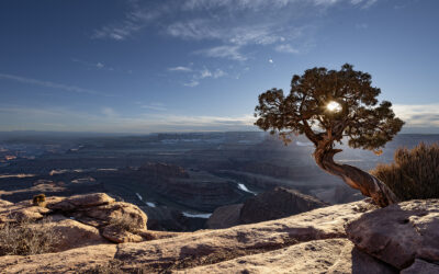 Utah