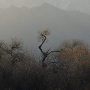 First day of Spring and an early morning sunrise along the Bosque