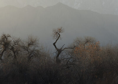 First day of Spring and an early morning sunrise along the Bosque