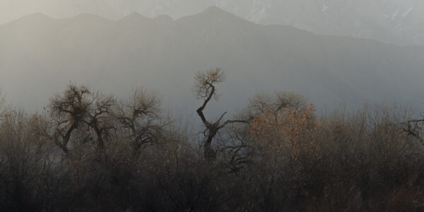 First day of Spring and an early morning sunrise along the Bosque