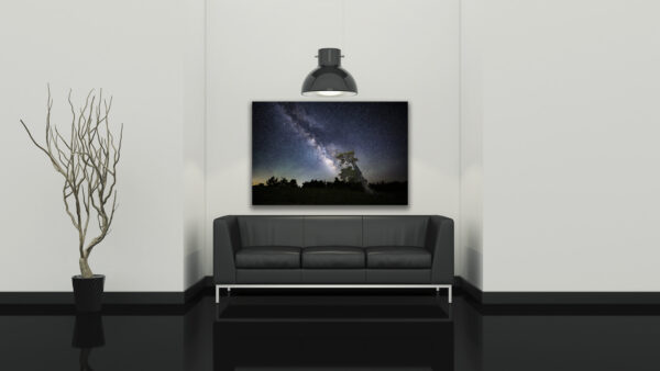 Big Leaning Bristlecone & Milky Way - Image 2
