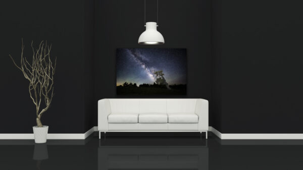 Big Leaning Bristlecone & Milky Way - Image 3