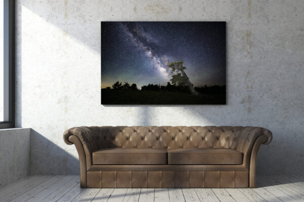 Big Leaning Bristlecone & Milky Way - Image 5
