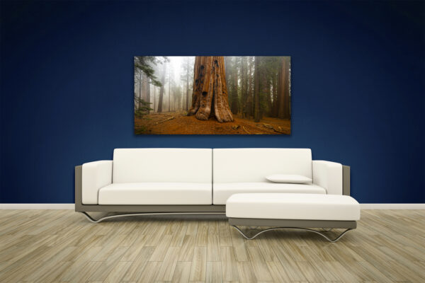 Big Old Tree & Snow Squal - Image 2