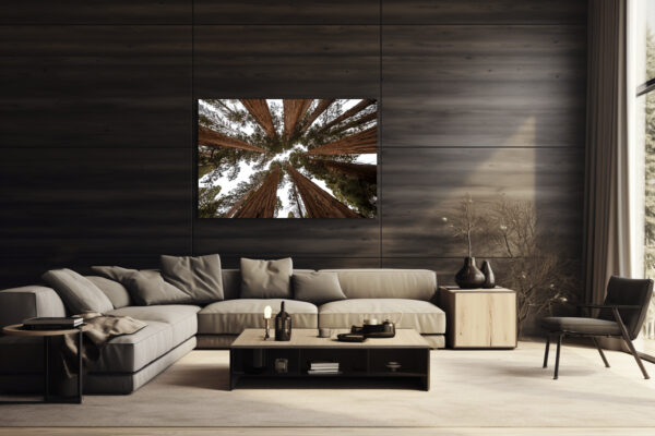 The Giant Forest - Looking Up - Image 2