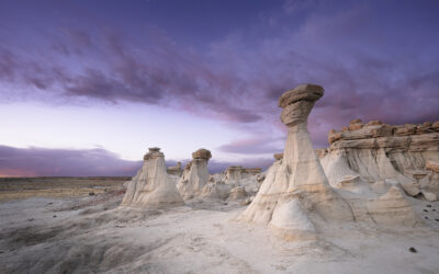 New Mexico