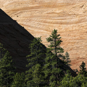 Checkerboard Mesa - Zion