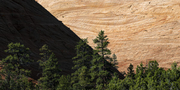 Checkerboard Mesa - Zion