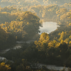 Misty Morning - Rio Chama