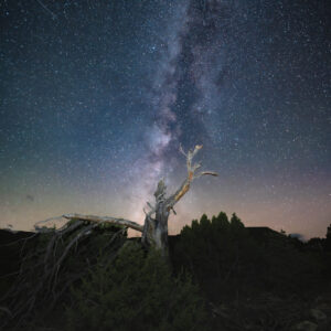 The Broken Tree & Milky Way
