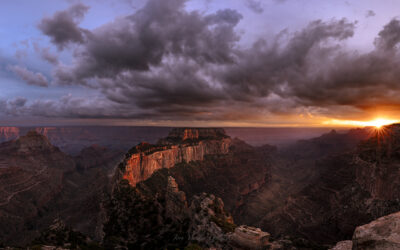 Arizona