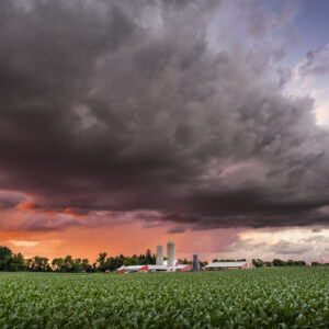 Dairy Farm Sunset - Waupun WI