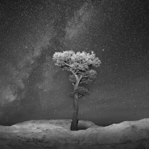 Milky Way & Ponderosa